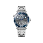 Omega Seamaster Ref# 210.30.42.20.06.001