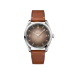 Seamaster Railmaster Ref. 235.12.38.20.13.001