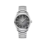 Seamaster Railmaster Ref. 235.10.38.20.06.001